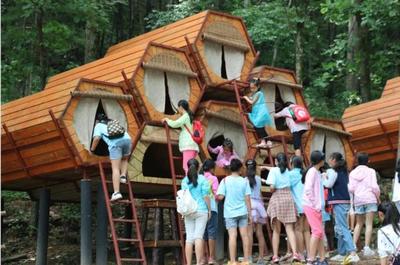 雙星閃耀林海間 朱雀與太平國家森林公園共獲2019全國森林康養(yǎng)產(chǎn)業(yè)殊榮