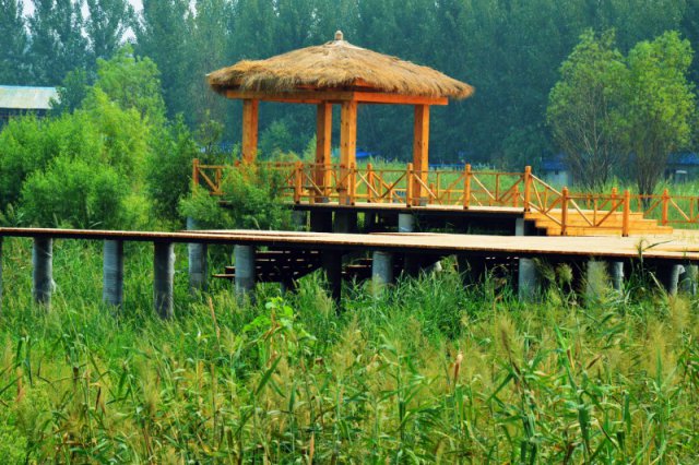 自駕玩轉(zhuǎn)河南，帳篷露營好去處——這些公園露營地你打卡了嗎？