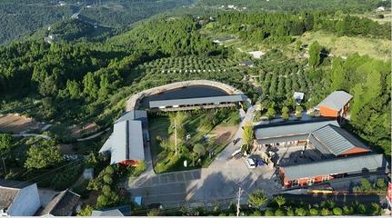 聚會、團(tuán)建、散心，來這里就對咯！——星級公園觀光服務(wù)全體驗(yàn)